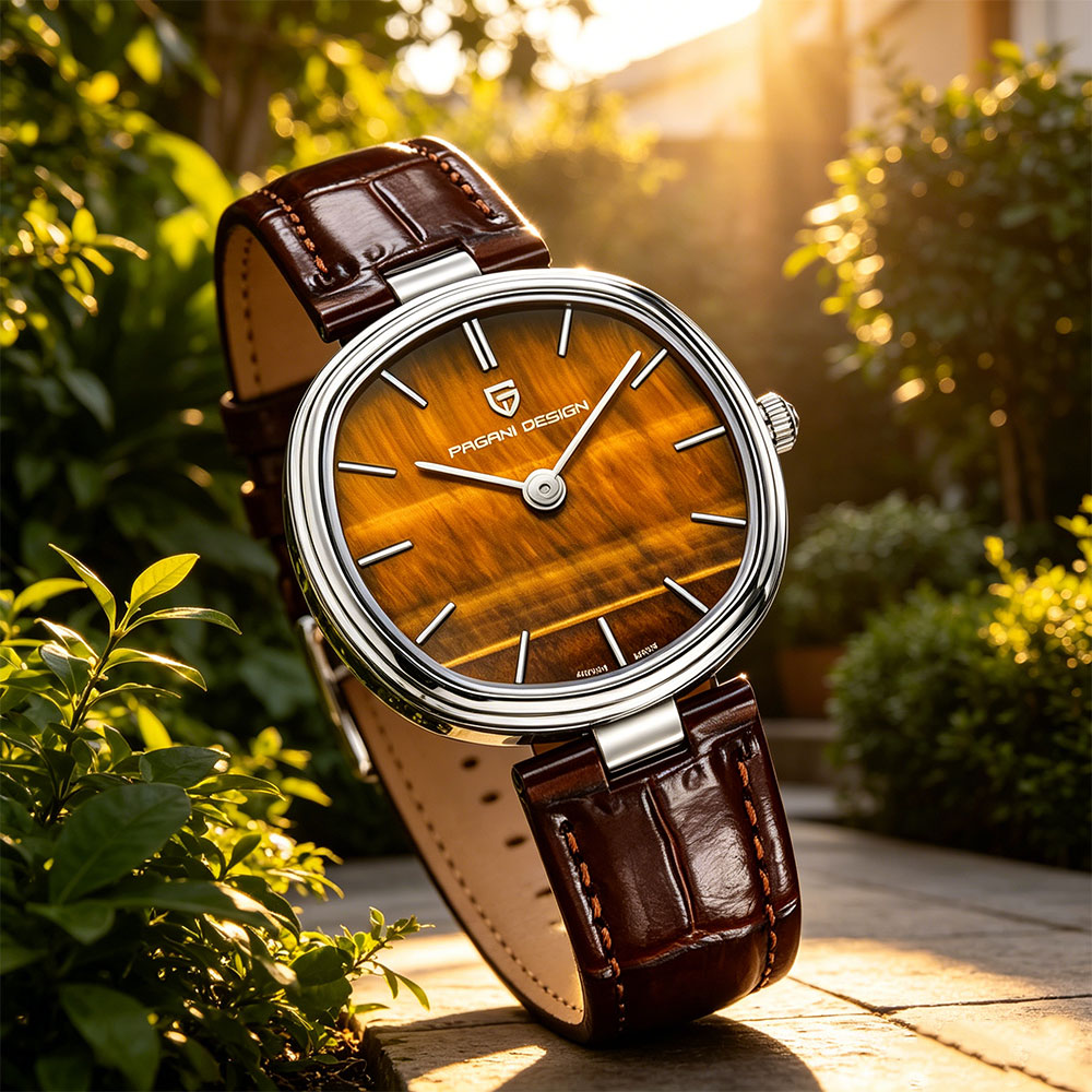 PAGANI DESIGN 2026 Nouvelle Mo - Anti-Magnetic Watch avis et prix